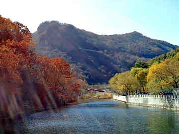 澳门二四六天天彩图库，夜夜色